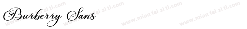 Burberry Sans字体转换